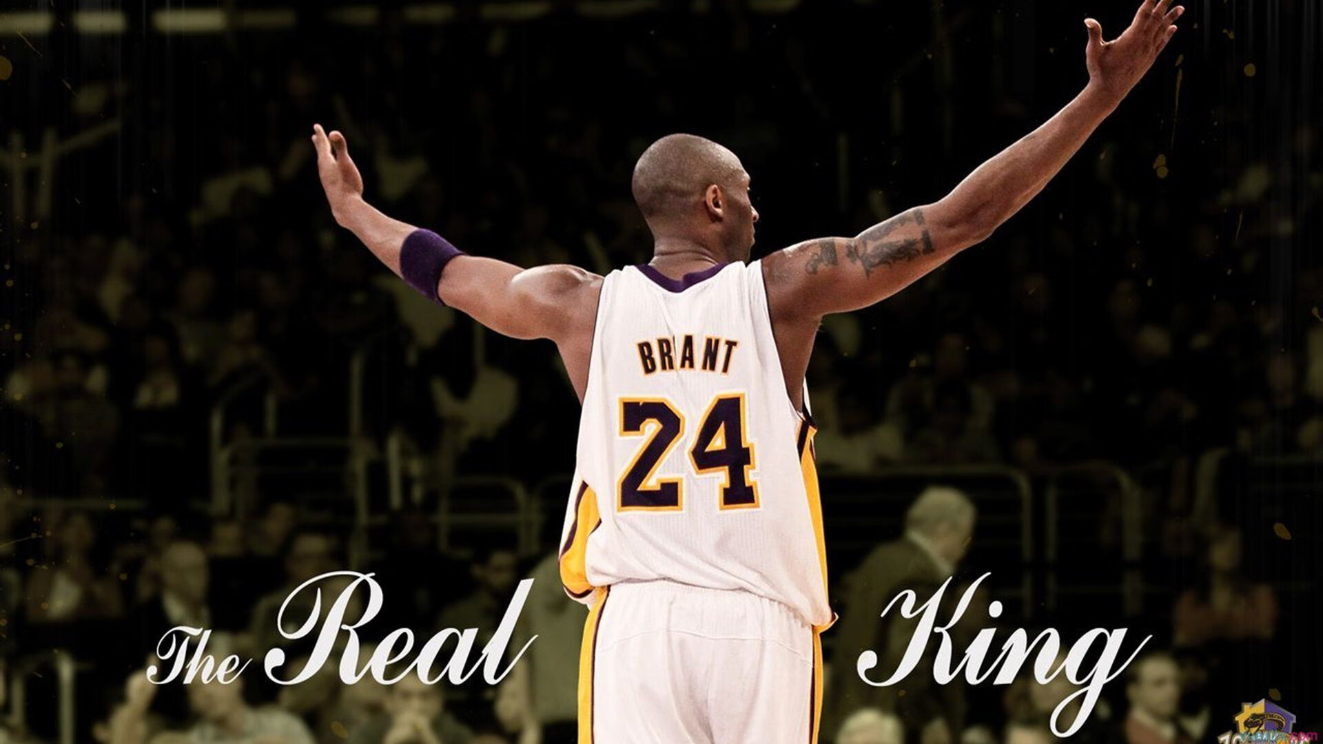 马拉松赛事吸引众多跑者参与，马拉松赛事吸引众多跑者参与的原因